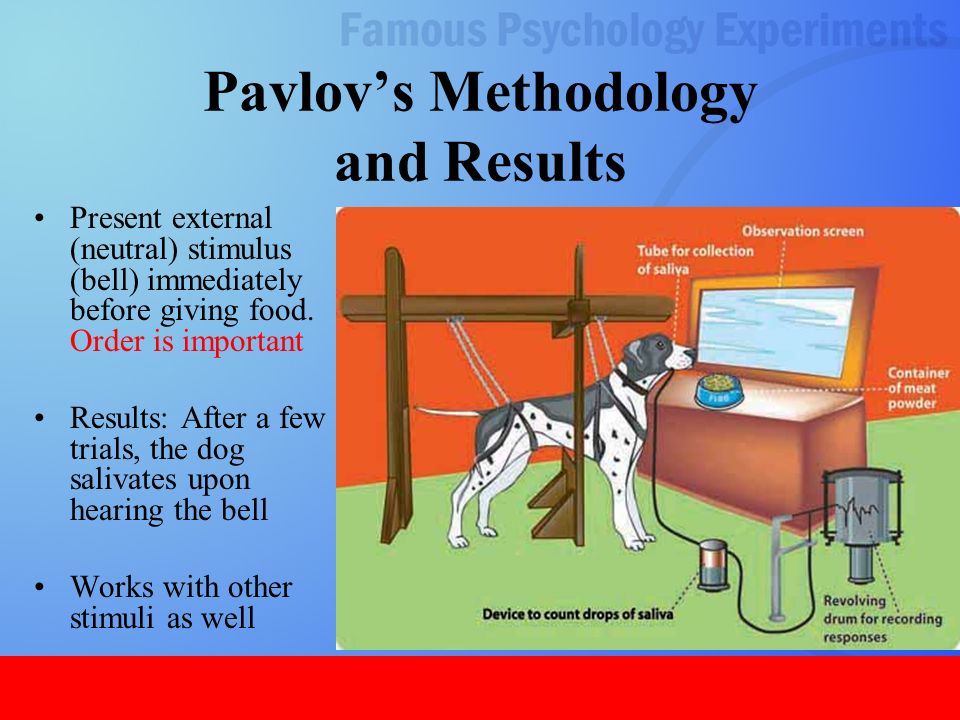 what year did pavlov do the dog experiment