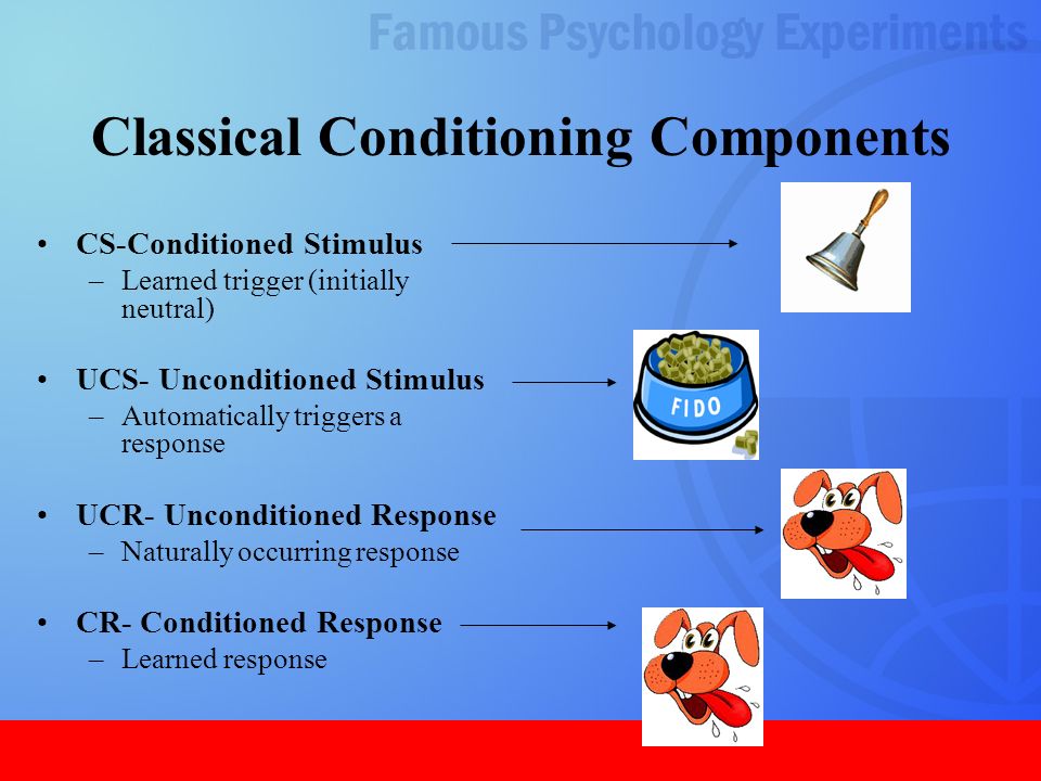 main components of classical conditioning
