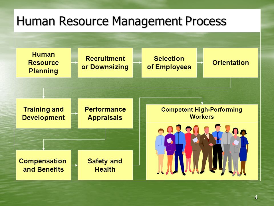 4 Human Resource Management Process Human Resource Planning Recruitment or Downsizing Selection of Employees Orientation Training and Development Performance Appraisals Safety and Health Compensation and Benefits Competent High-Performing Workers