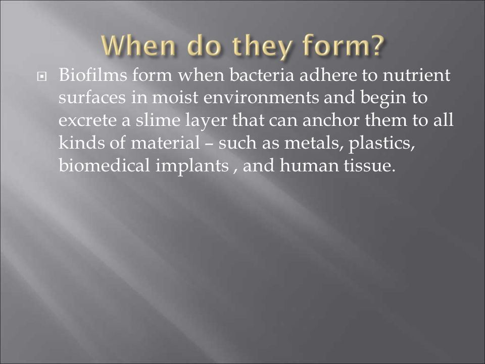  Biofilms form when bacteria adhere to nutrient surfaces in moist environments and begin to excrete a slime layer that can anchor them to all kinds of material – such as metals, plastics, biomedical implants, and human tissue.