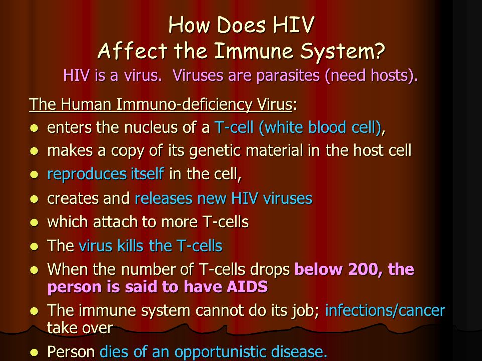 How Does HIV Affect the Immune System. HIV is a virus.