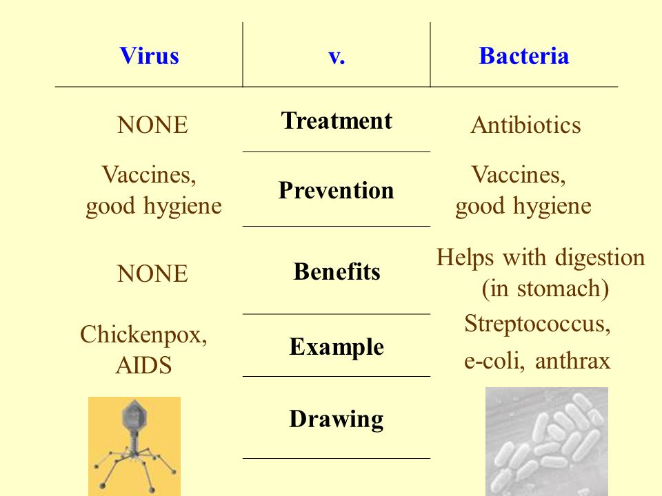 Viruses v. Bacteria Virusesv.Bacteria Size Type of Cell Living.