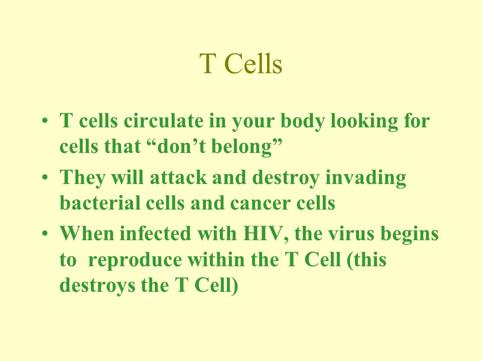 Aids and HIV HIV stands for Human Immunodeficiency Virus It is the virus that causes AIDS HIV enters the body through the transmission of bodily fluids and attacks a specific type of immune cells called T Cells