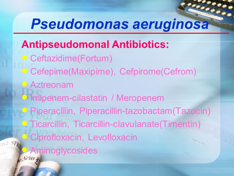 Antibiotics fortum Common Reptile