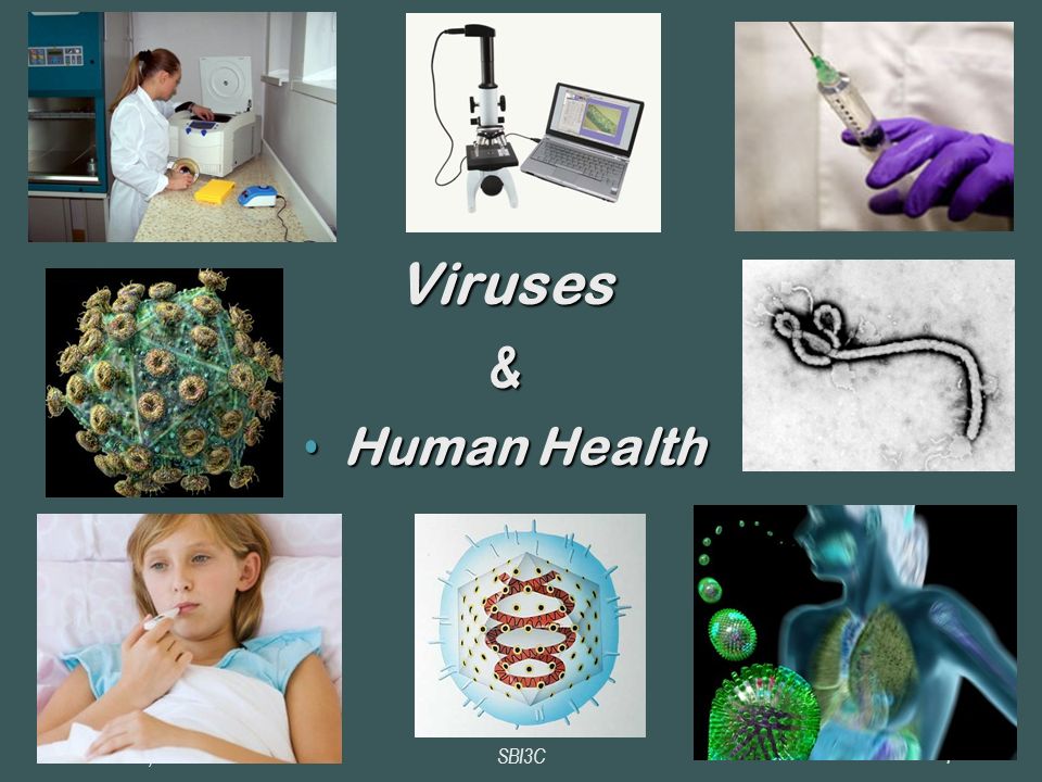 Viruses& Human Health ‏ Human Health ‏ June 23, 20091SBI3C