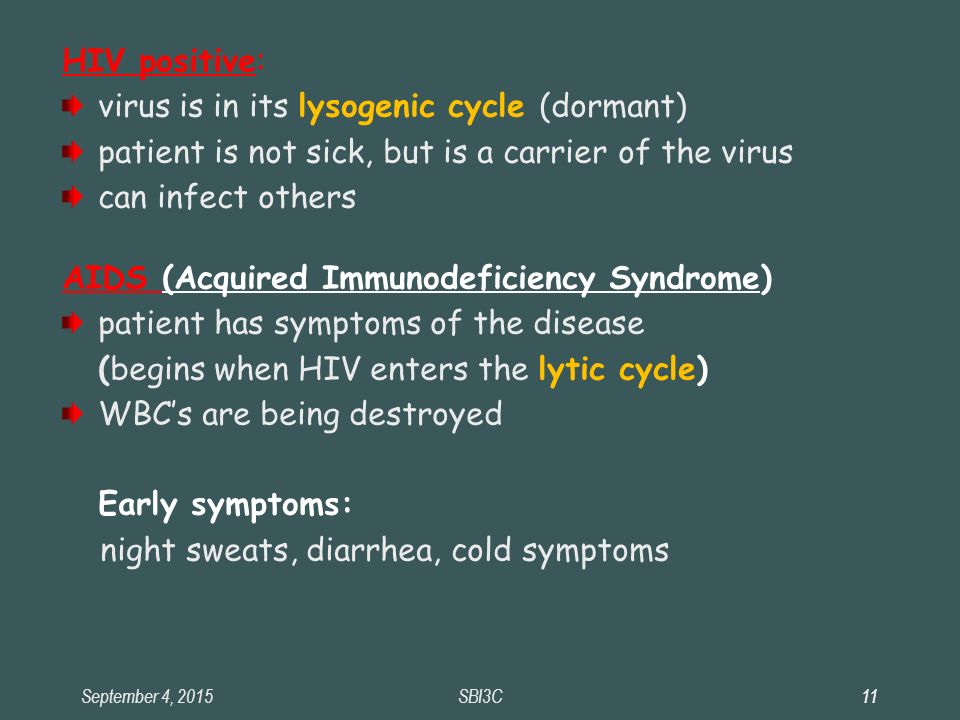 September 4, HIV positive: virus is in its lysogenic cycle (dormant) patient is not sick, but is a carrier of the virus can infect others AIDS (Acquired Immunodeficiency Syndrome) patient has symptoms of the disease (begins when HIV enters the lytic cycle) WBC’s are being destroyed Early symptoms: night sweats, diarrhea, cold symptoms SBI3C11