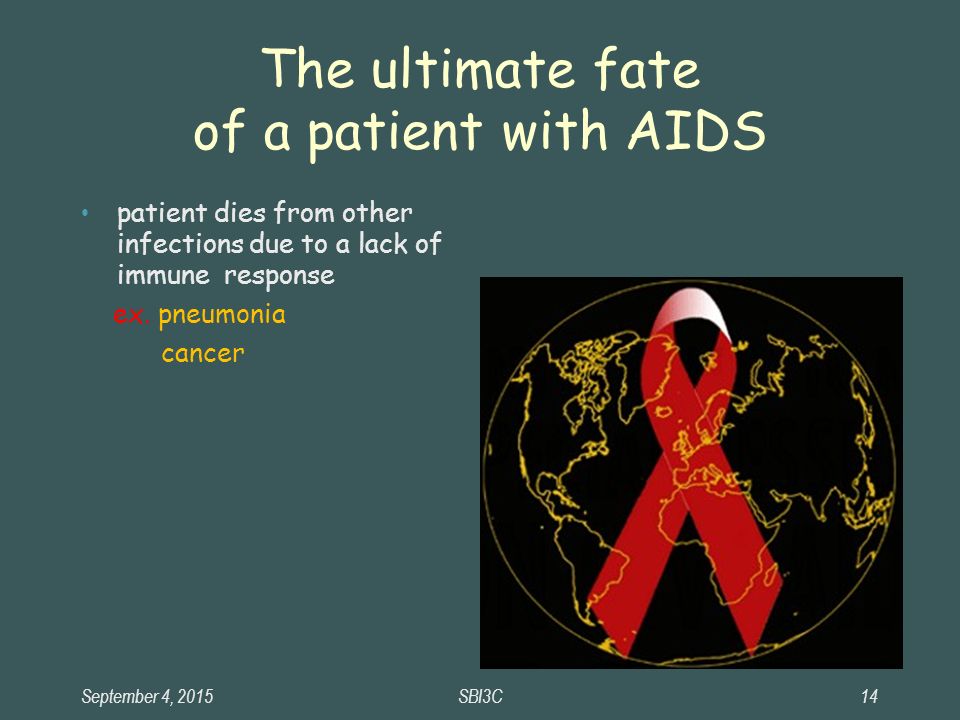 September 4, 2015SBI3C14 The ultimate fate of a patient with AIDS patient dies from other infections due to a lack of immune response ex.