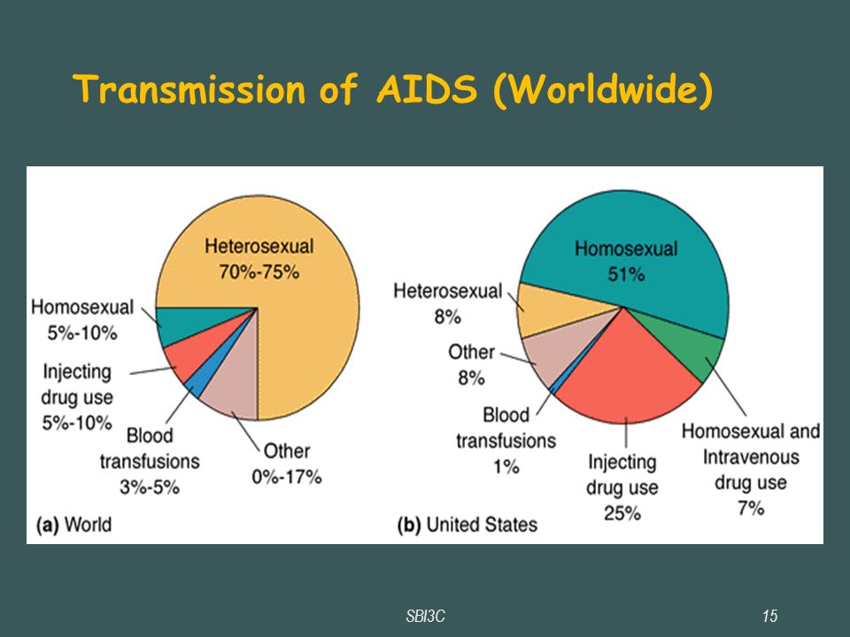 SBI3C15 Transmission of AIDS (Worldwide) ‏