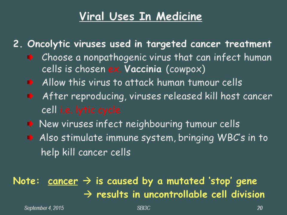 September 4, Oncolytic viruses used in targeted cancer treatment Choose a nonpathogenic virus that can infect human cells is chosen ex.