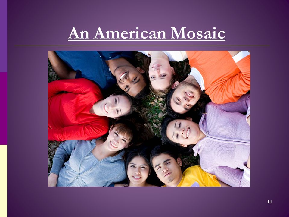 An American Mosaic 14