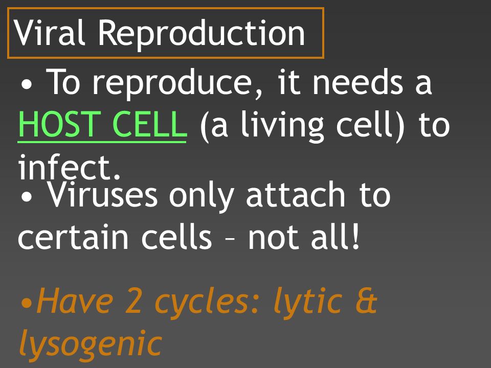 Viral Reproduction To reproduce, it needs a HOST CELL (a living cell) to infect.