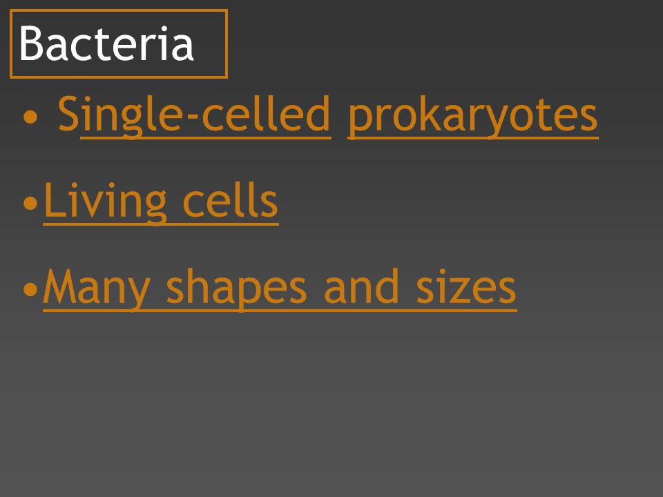 Bacteria Single-celled prokaryotes Living cells Many shapes and sizes