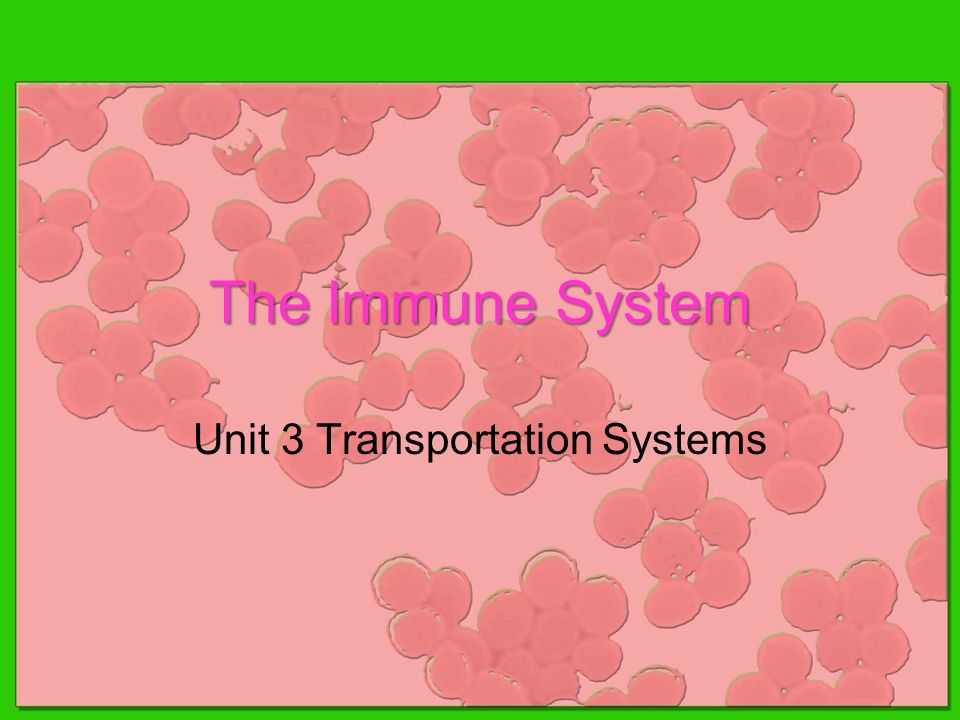 The Immune System Unit 3 Transportation Systems