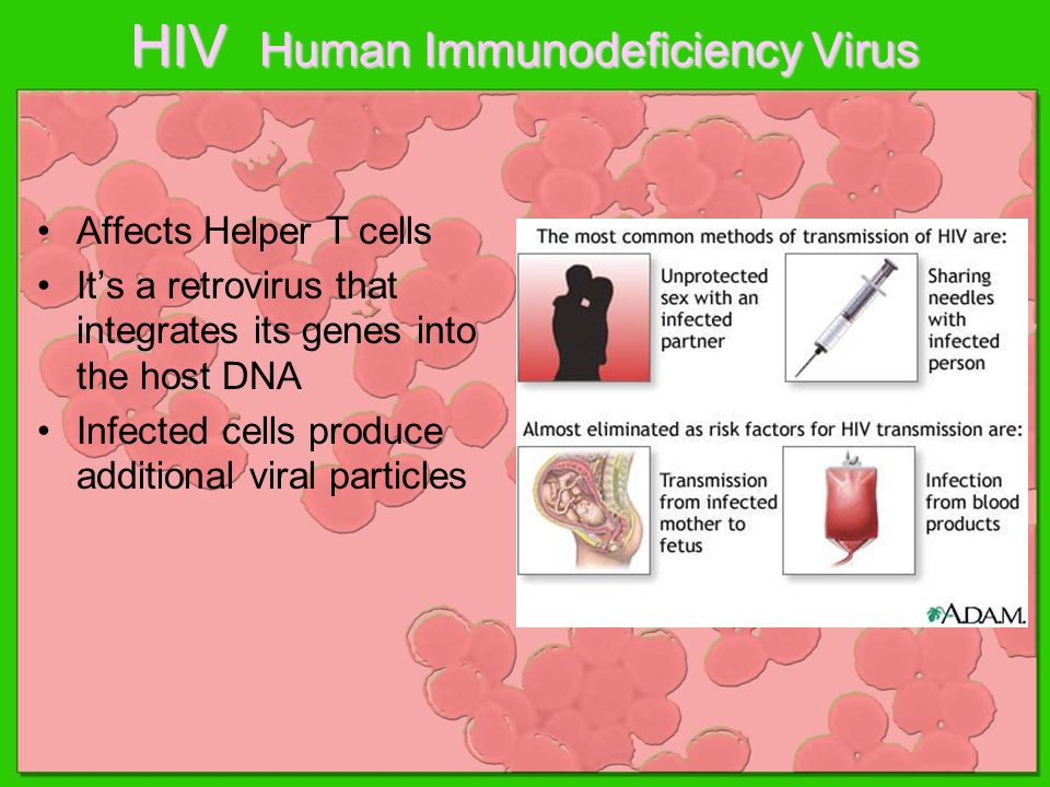 HIV Human Immunodeficiency Virus Affects Helper T cells It’s a retrovirus that integrates its genes into the host DNA Infected cells produce additional viral particles