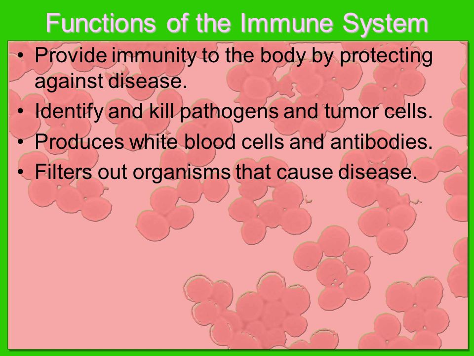 Functions of the Immune System Provide immunity to the body by protecting against disease.