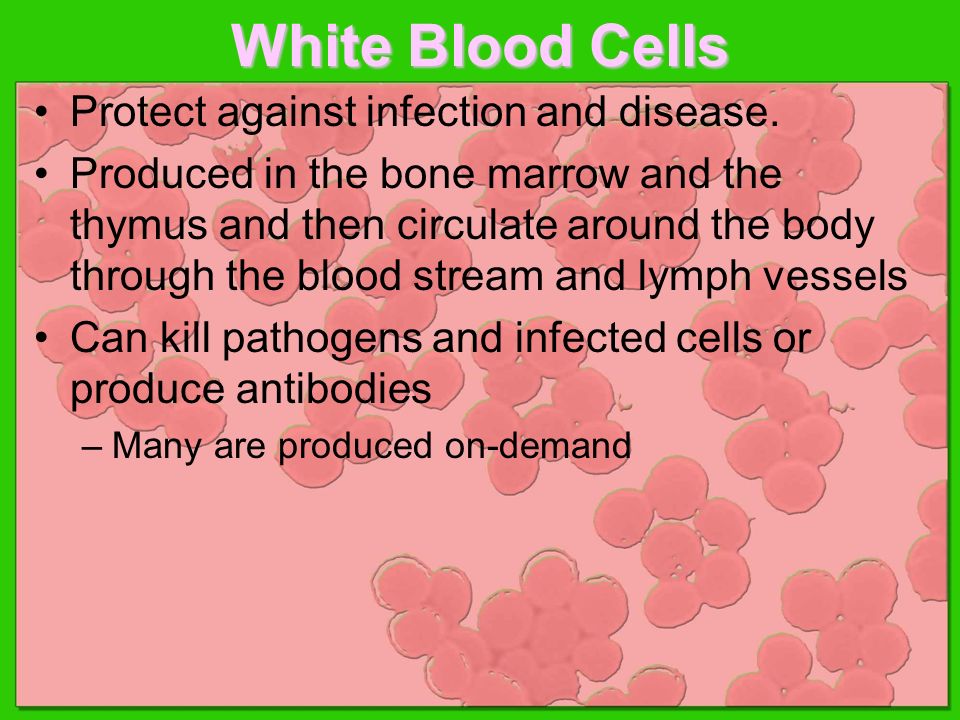 White Blood Cells Protect against infection and disease.