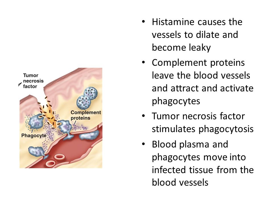 Histamine causes the vessels to dilate and become leaky Complement proteins leave the blood vessels and attract and activate phagocytes Tumor necrosis factor stimulates phagocytosis Blood plasma and phagocytes move into infected tissue from the blood vessels