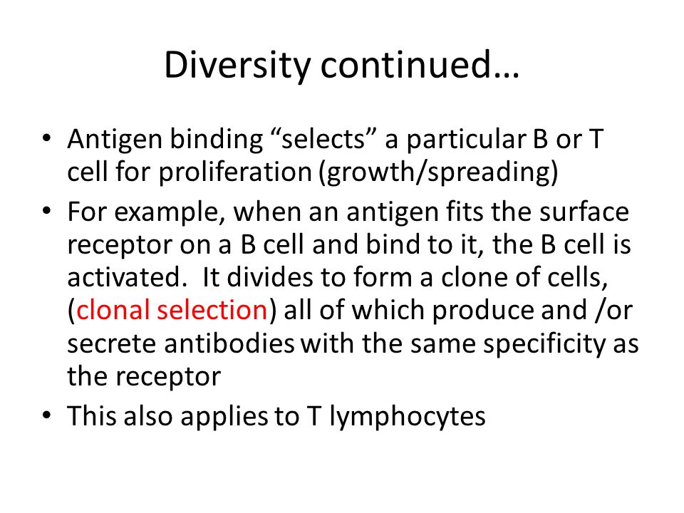 Diversity continued… Antigen binding selects a particular B or T cell for proliferation (growth/spreading) For example, when an antigen fits the surface receptor on a B cell and bind to it, the B cell is activated.