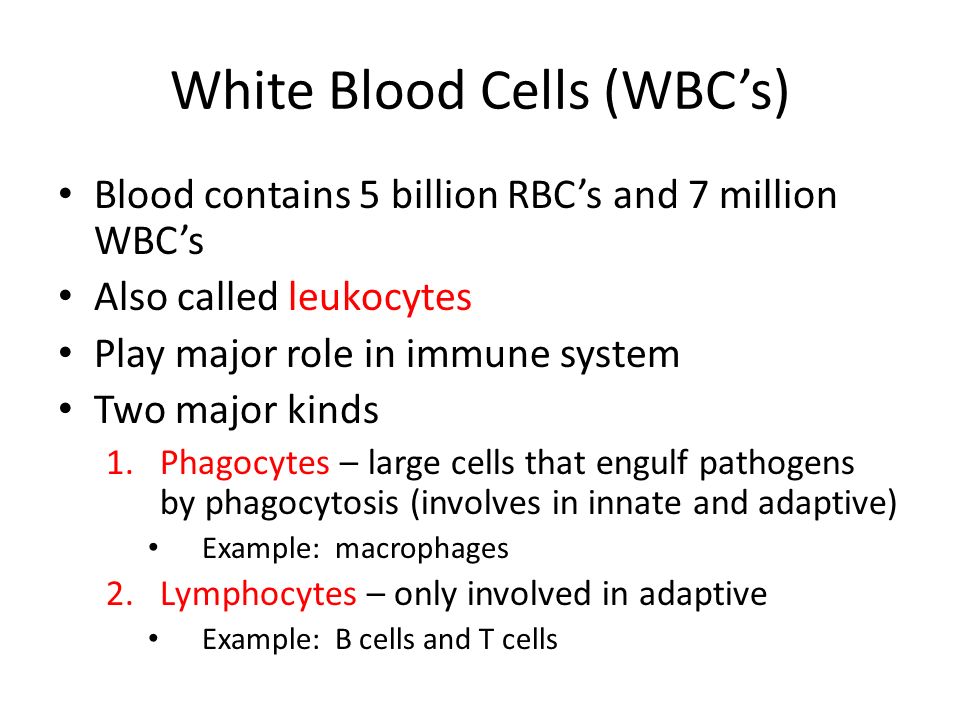 White Blood Cells (WBC’s) Blood contains 5 billion RBC’s and 7 million WBC’s Also called leukocytes Play major role in immune system Two major kinds 1.Phagocytes – large cells that engulf pathogens by phagocytosis (involves in innate and adaptive) Example: macrophages 2.Lymphocytes – only involved in adaptive Example: B cells and T cells