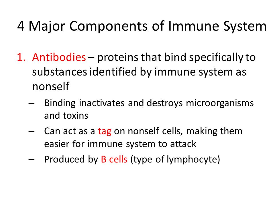 4 Major Components of Immune System 1.Antibodies – proteins that bind specifically to substances identified by immune system as nonself – Binding inactivates and destroys microorganisms and toxins – Can act as a tag on nonself cells, making them easier for immune system to attack – Produced by B cells (type of lymphocyte)