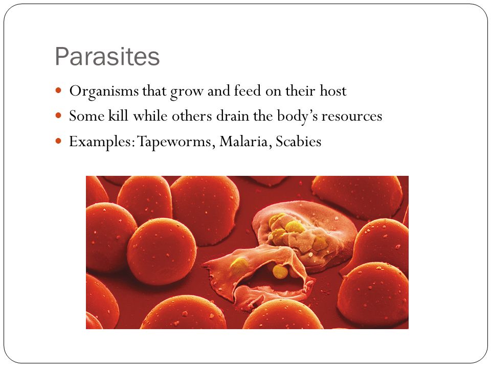 Parasites Organisms that grow and feed on their host Some kill while others drain the body’s resources Examples: Tapeworms, Malaria, Scabies