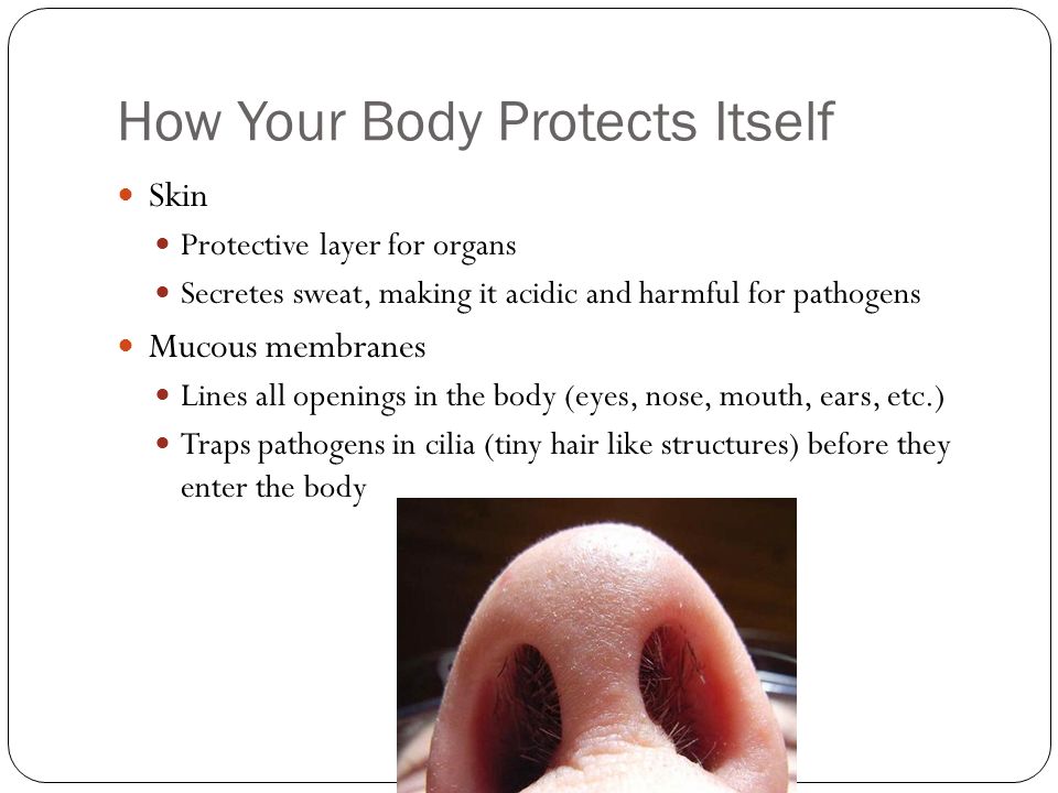How Your Body Protects Itself Skin Protective layer for organs Secretes sweat, making it acidic and harmful for pathogens Mucous membranes Lines all openings in the body (eyes, nose, mouth, ears, etc.) Traps pathogens in cilia (tiny hair like structures) before they enter the body