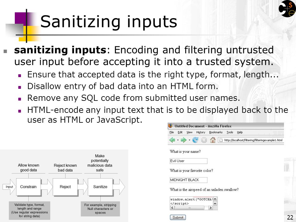 22 Sanitizing inputs sanitizing inputs: Encoding and filtering untrusted user input before accepting it into a trusted system.