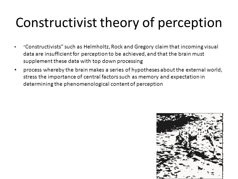 constructivist theory of perception