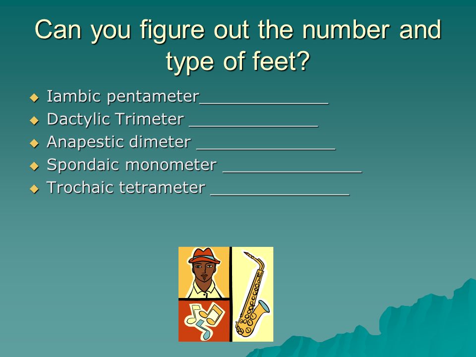 Can you figure out the number and type of feet.