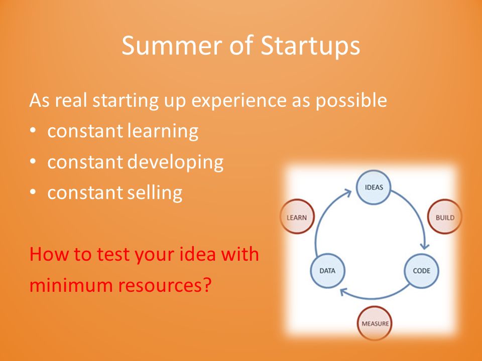 Summer of Startups As real starting up experience as possible constant learning constant developing constant selling How to test your idea with minimum resources