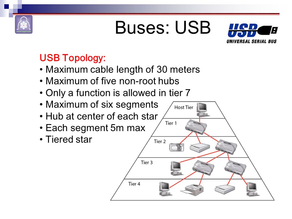 Signal& Bus Segments Signal& Bus Segments