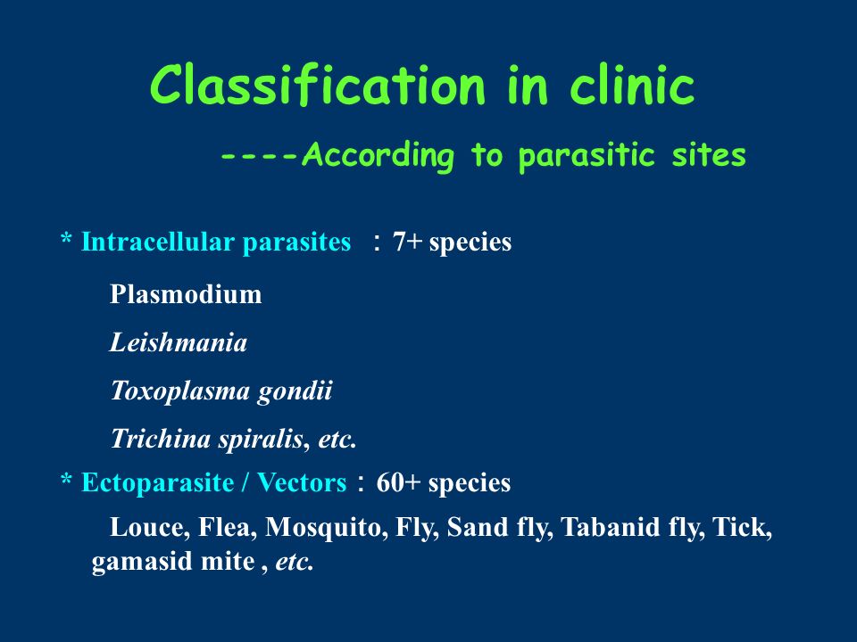 ----According to parasitic sites Classification in clinic *Tissue parasites ： 20+ species brain : Angiostrongylus cantonensis eye : Thelazia callipaeda lung : Lung fluke kidney : Dioctophyma renale skin: Sarcoptes scabiei, etc.