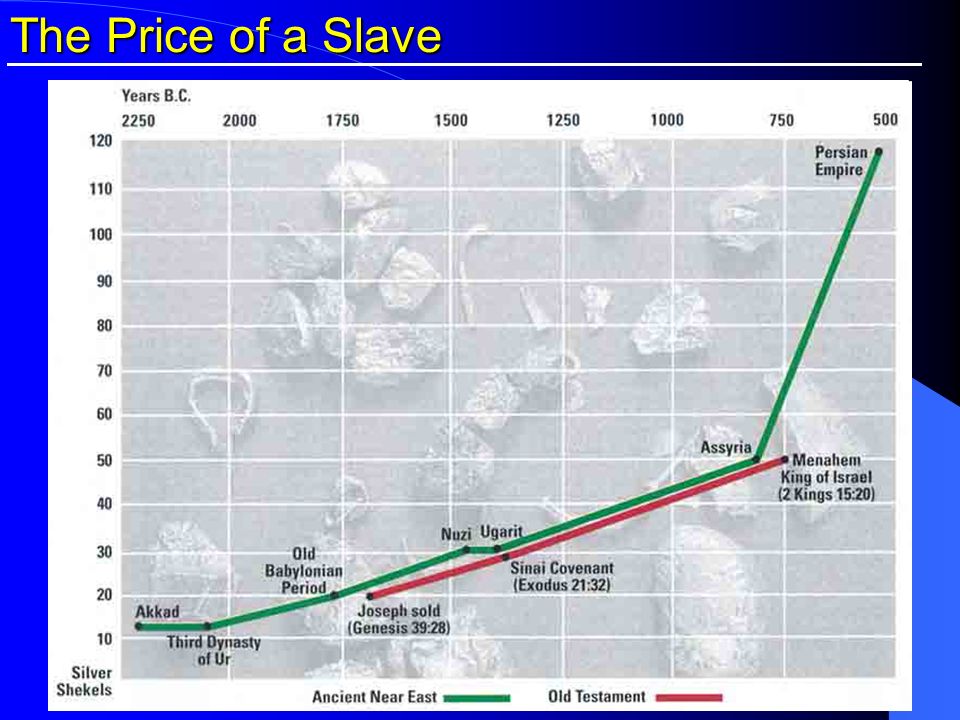 The Price of a Slave