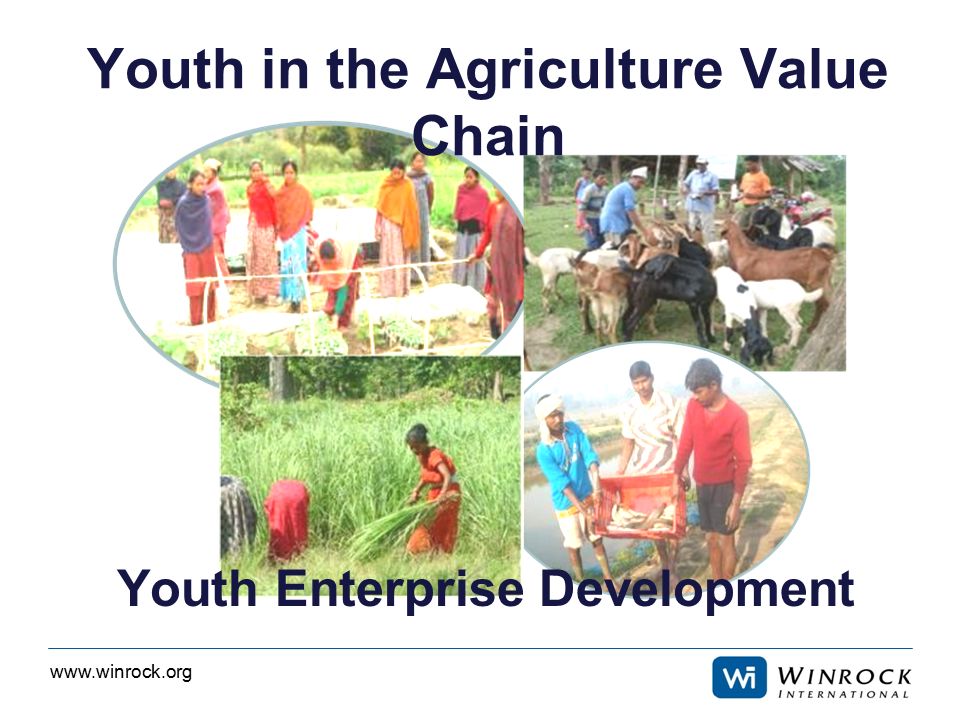 Youth in the Agriculture Value Chain Youth Enterprise Development