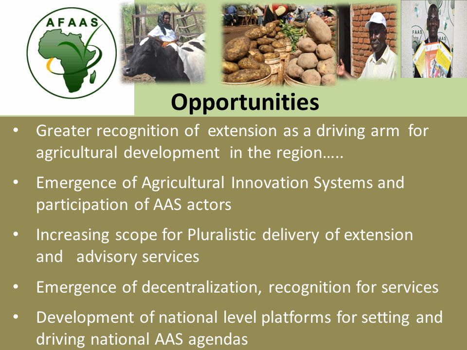 Opportunities Greater recognition of extension as a driving arm for agricultural development in the region…..