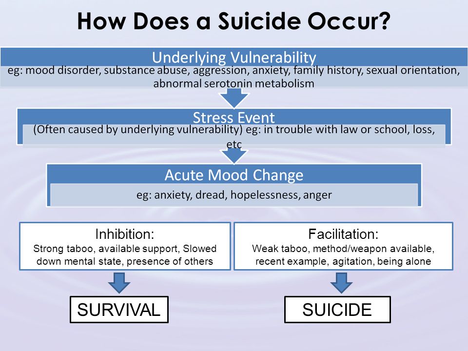 Riverside Trauma Center a service of Risk Factors & Warning Signs of Depression and Suicide in Youth presented by : Waheeda Saif, LMHC Blue Ribbon Conference April 13 th, 2012 Reading, MA How Does a Suicide Occur.