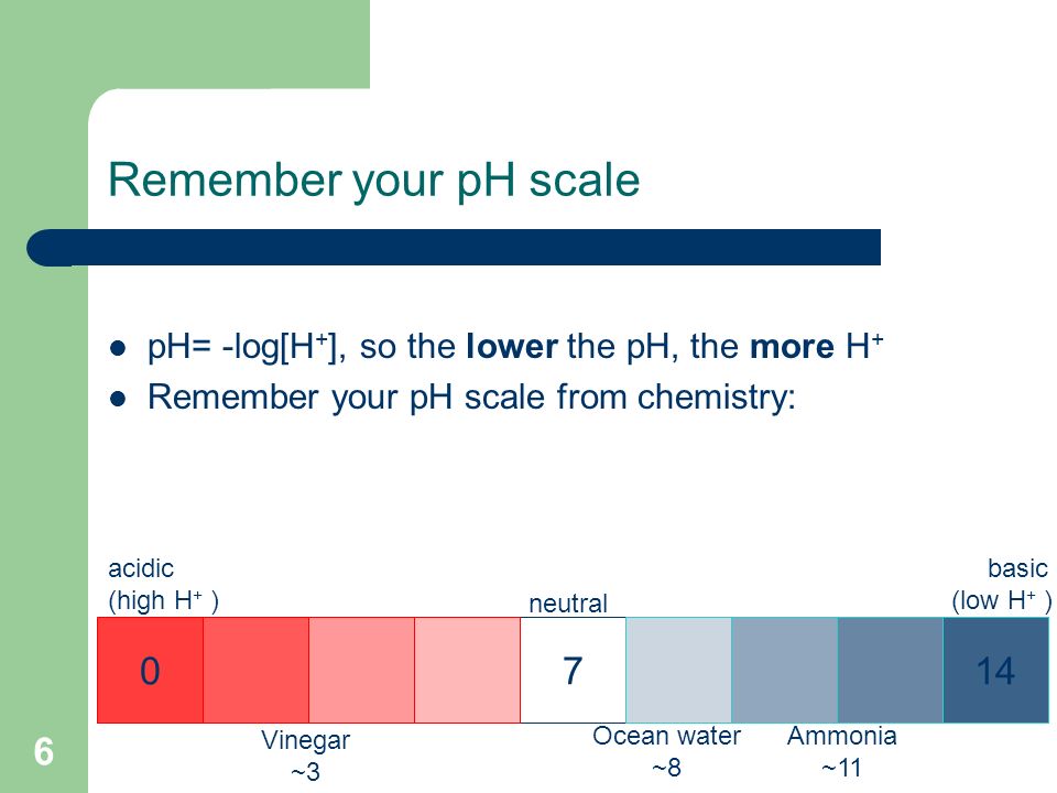 Remember your pH scale pH= -log[H + ], so the lower the pH, the more H + Remember your pH scale from chemistry: Ocean water ~8 acidic (high H + ) 0714 basic (low H + ) neutral Vinegar ~3 Ammonia ~11 6