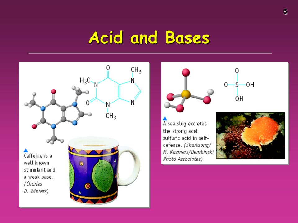 5 Acid and Bases