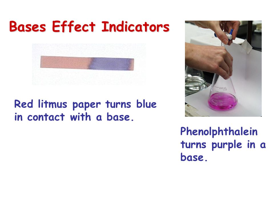 Bases Effect Indicators Red litmus paper turns blue in contact with a base.
