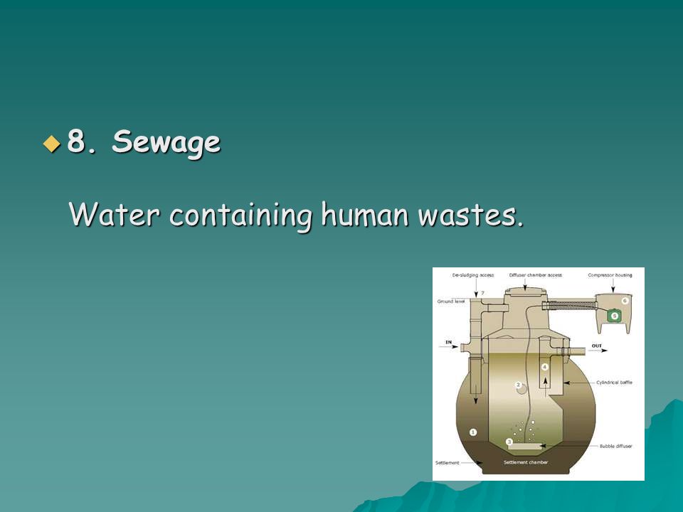  8. Sewage Water containing human wastes.