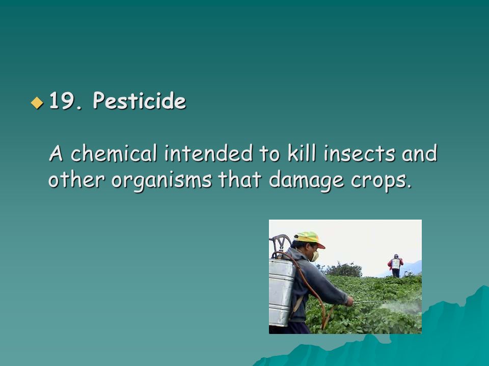  19. Pesticide A chemical intended to kill insects and other organisms that damage crops.