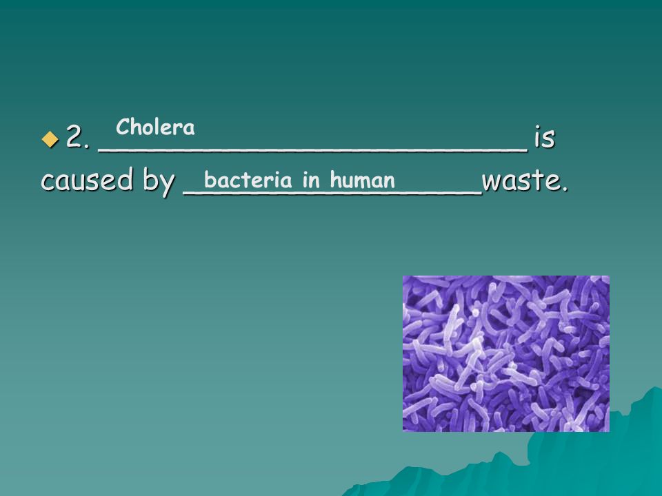  2. _______________________ is caused by ________________waste. Cholera bacteria in human