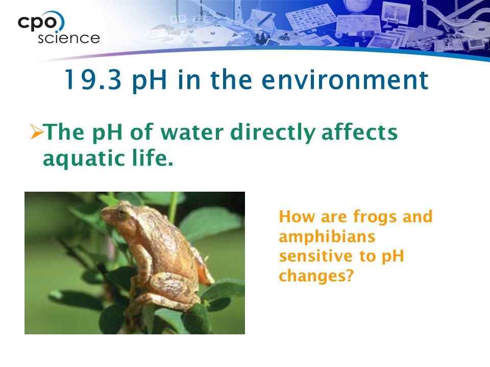19.3 pH in the environment  The pH of water directly affects aquatic life.
