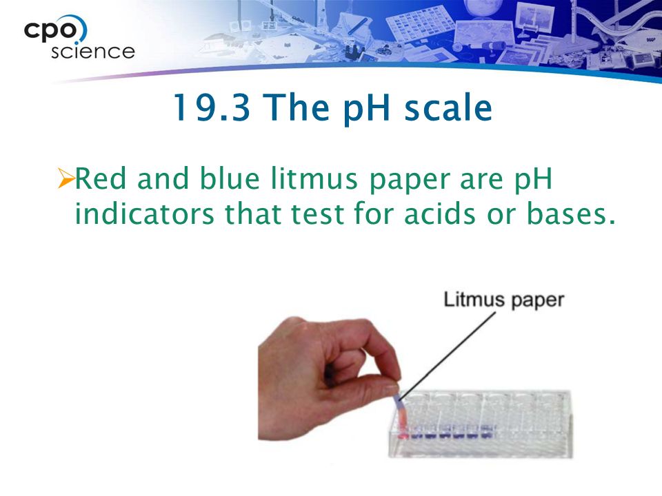 19.3 The pH scale  Red and blue litmus paper are pH indicators that test for acids or bases.