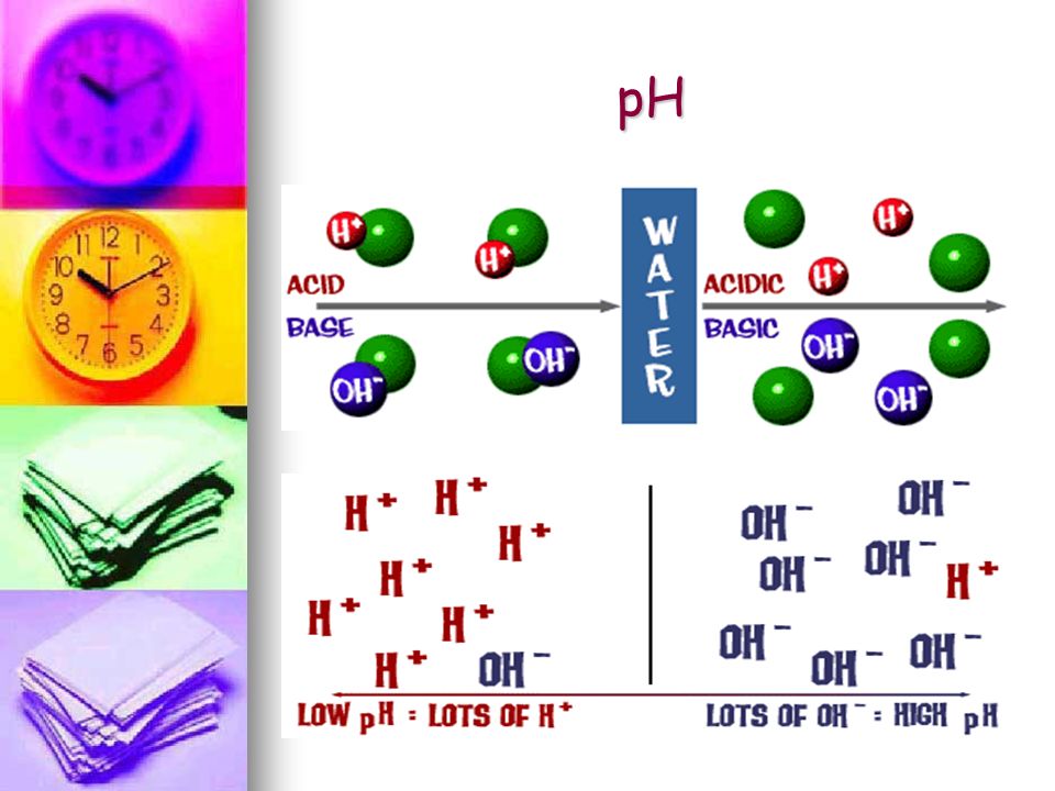 pH Scale used to express the acidity of a solution.