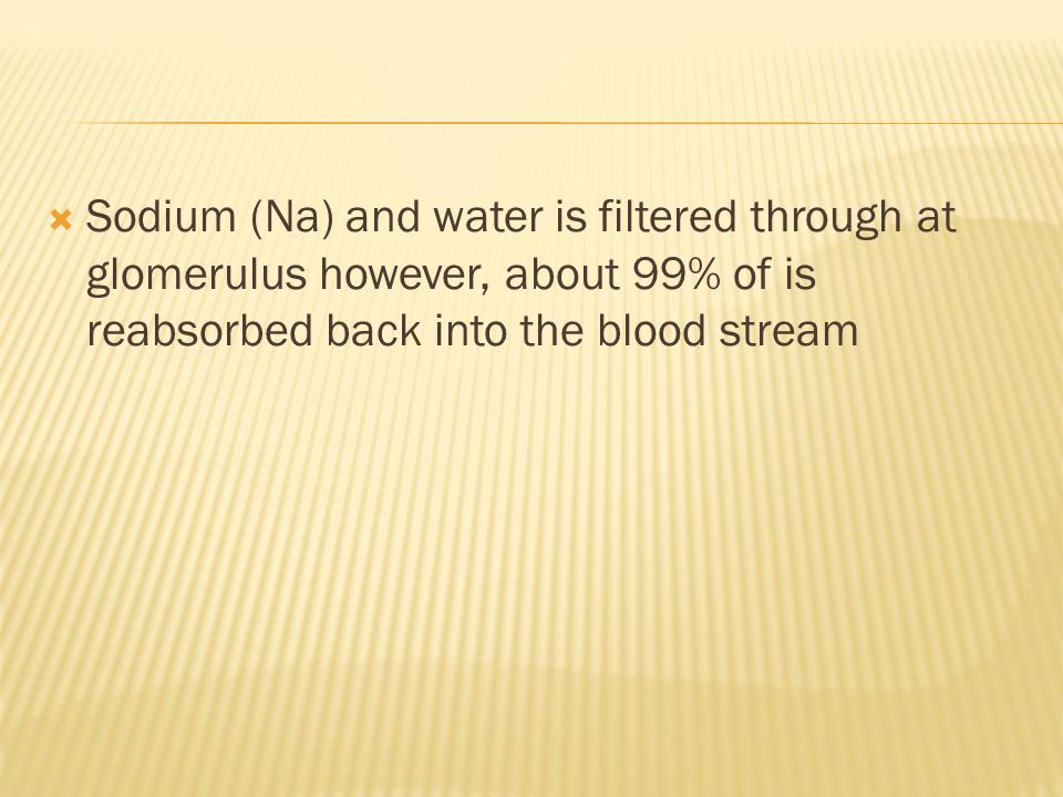  Sodium (Na) and water is filtered through at glomerulus however, about 99% of is reabsorbed back into the blood stream