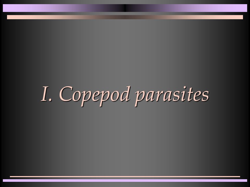 I. Copepod parasites