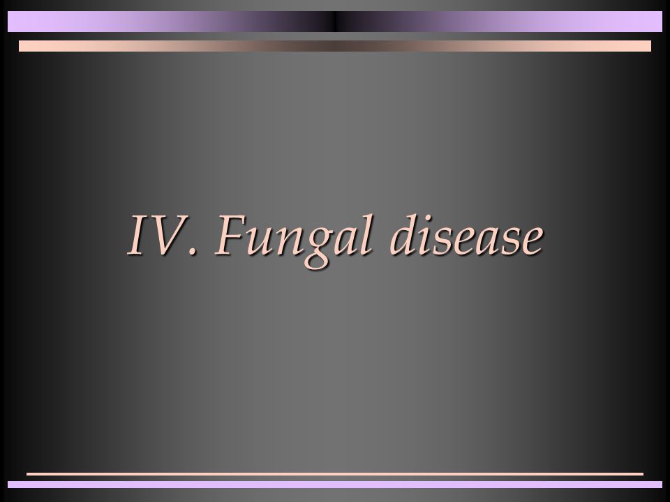 IV. Fungal disease