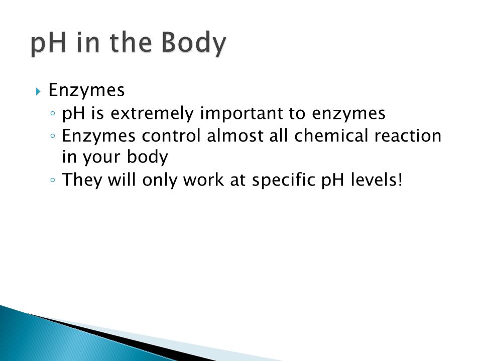  Enzymes ◦ pH is extremely important to enzymes ◦ Enzymes control almost all chemical reaction in your body ◦ They will only work at specific pH levels!