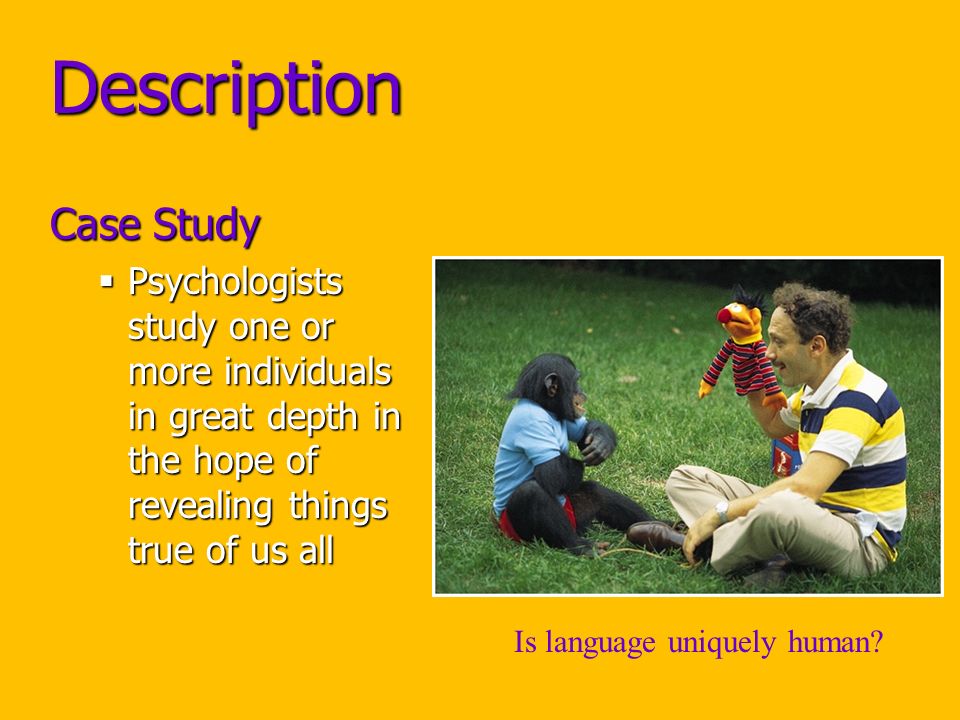 Description Case Study  Psychologists study one or more individuals in great depth in the hope of revealing things true of us all Is language uniquely human